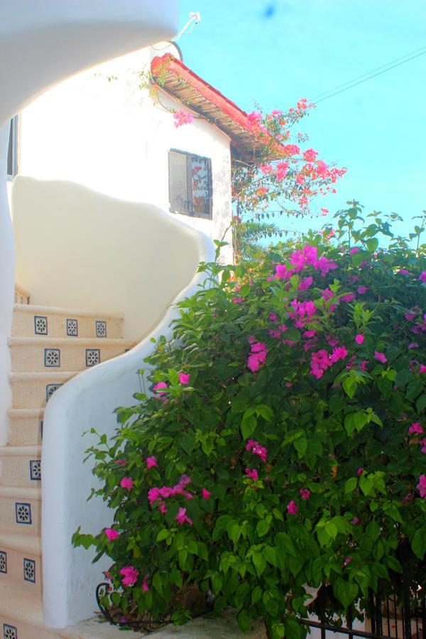 Casa Katarina Hotel Playa del Carmen Zewnętrze zdjęcie
